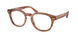 Polo 2272F Eyeglasses