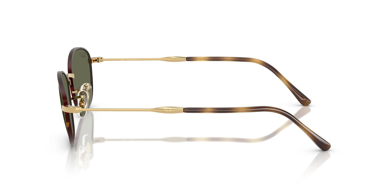 927358 - Tortoise - G-15 Green
