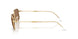 001/73 - Gold - Brown