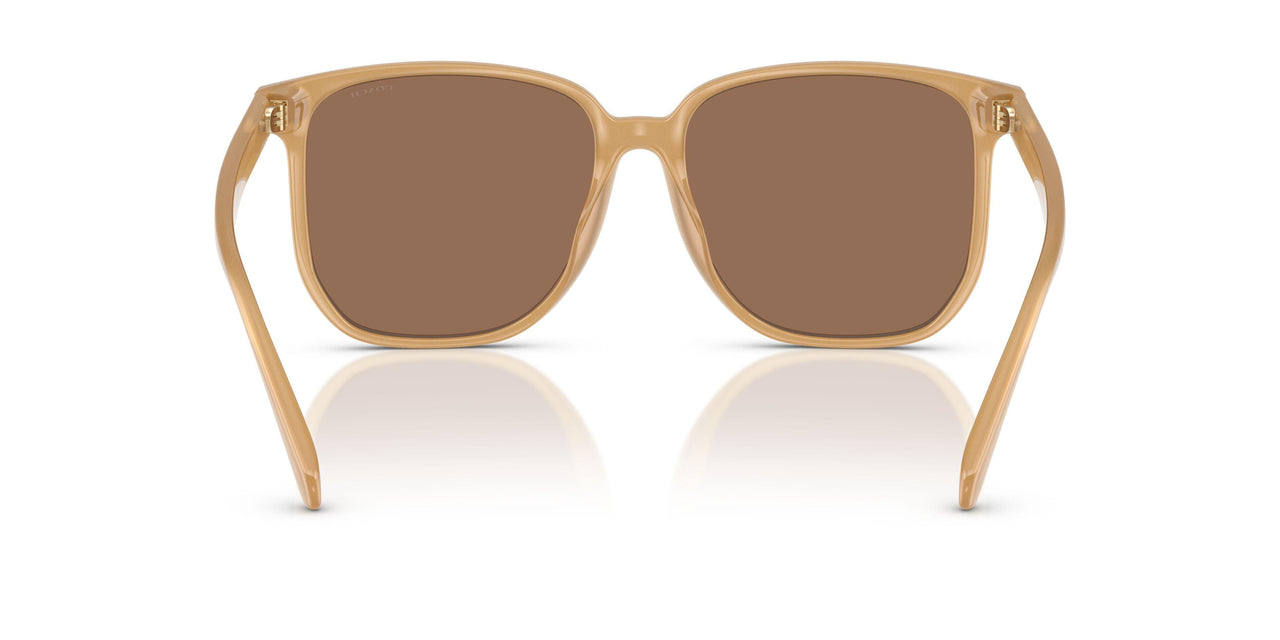 585473 - Brown - Brown Solid