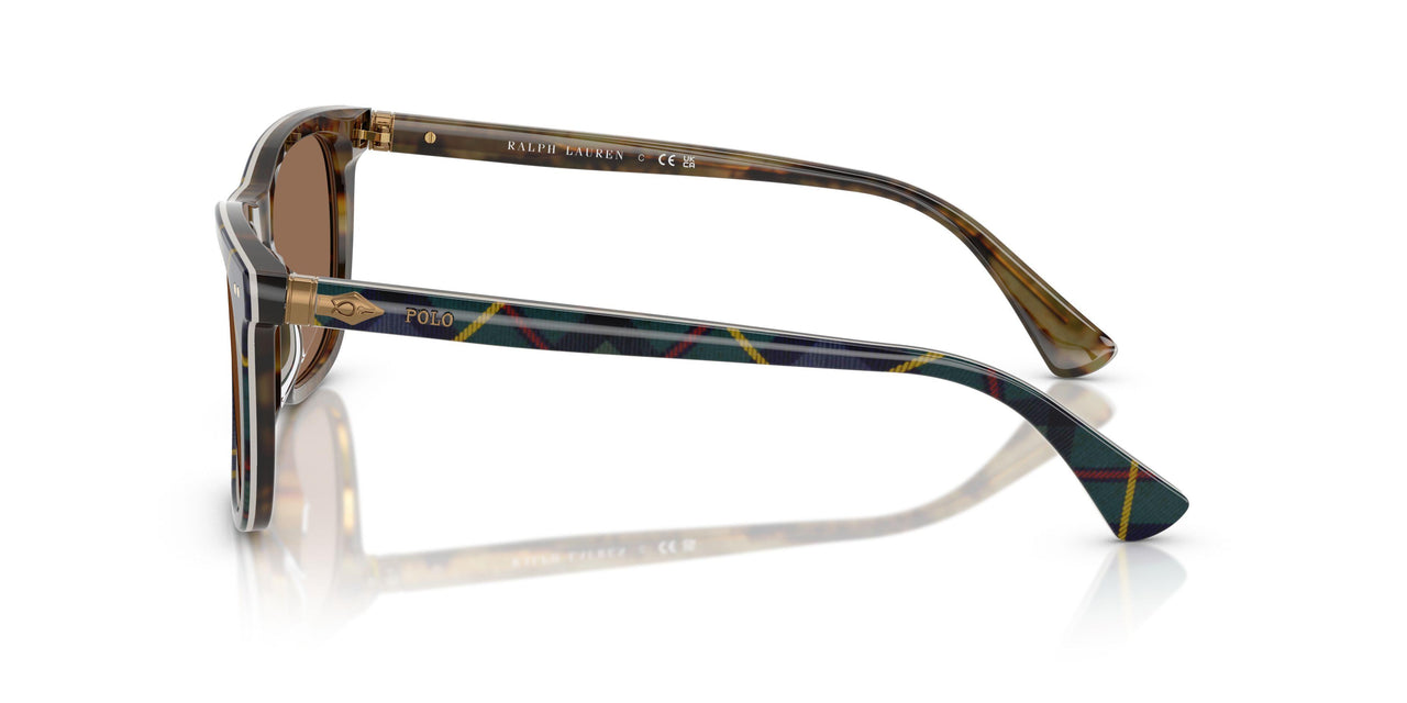 562573 - Multicolor - Dark Brown