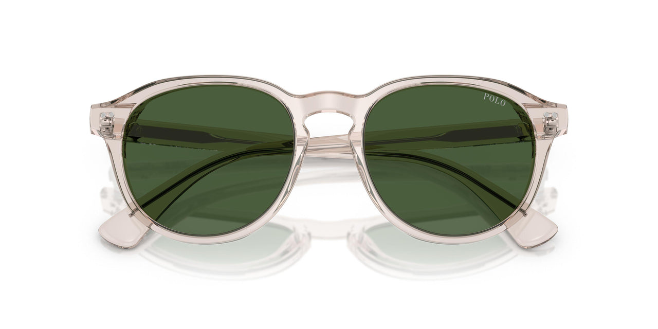 611771 - Brown - Bottle Green