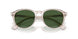 611771 - Brown - Bottle Green