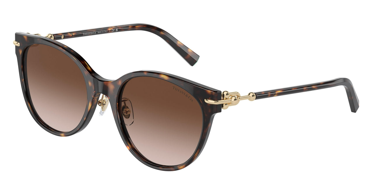 80153B - Tortoise - Brown Gradient