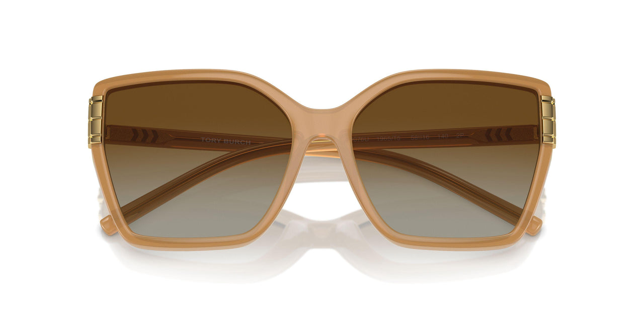 1965T5 - Brown - Brown Polarized