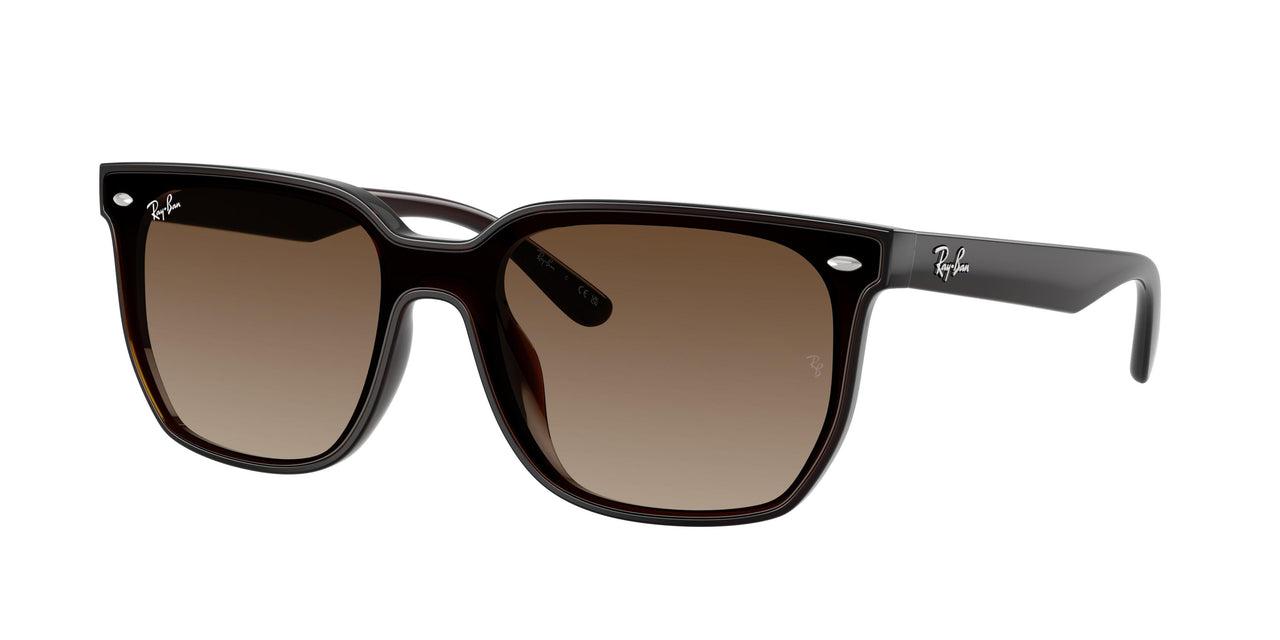 Ray-Ban 4466D Sunglasses
