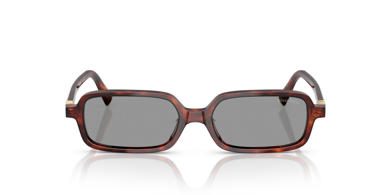 21C40O - Tortoise - Grey