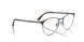3172 - Tortoise - Clear