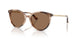 509773 - Tortoise - Dark Brown