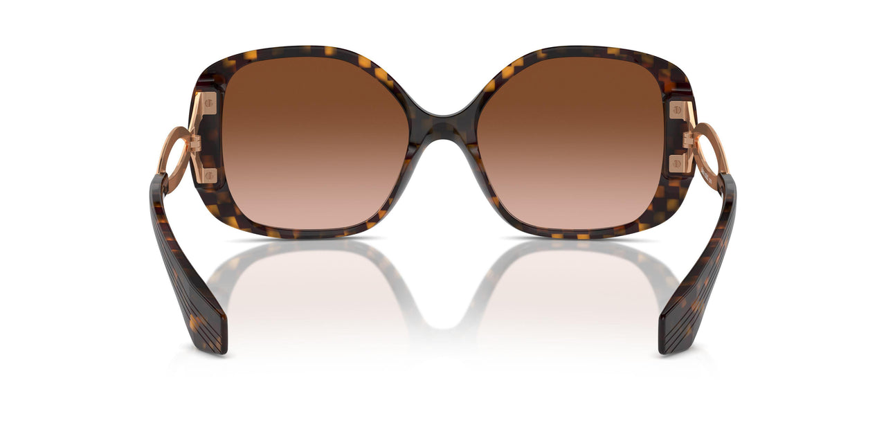 002/3B - Multicolor - Gradient Brown