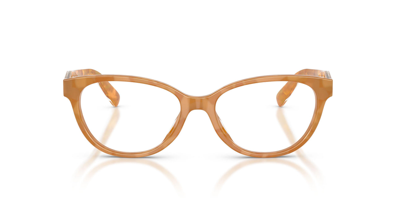 5939 - Tortoise