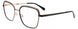 Paradox P5089 Eyeglasses