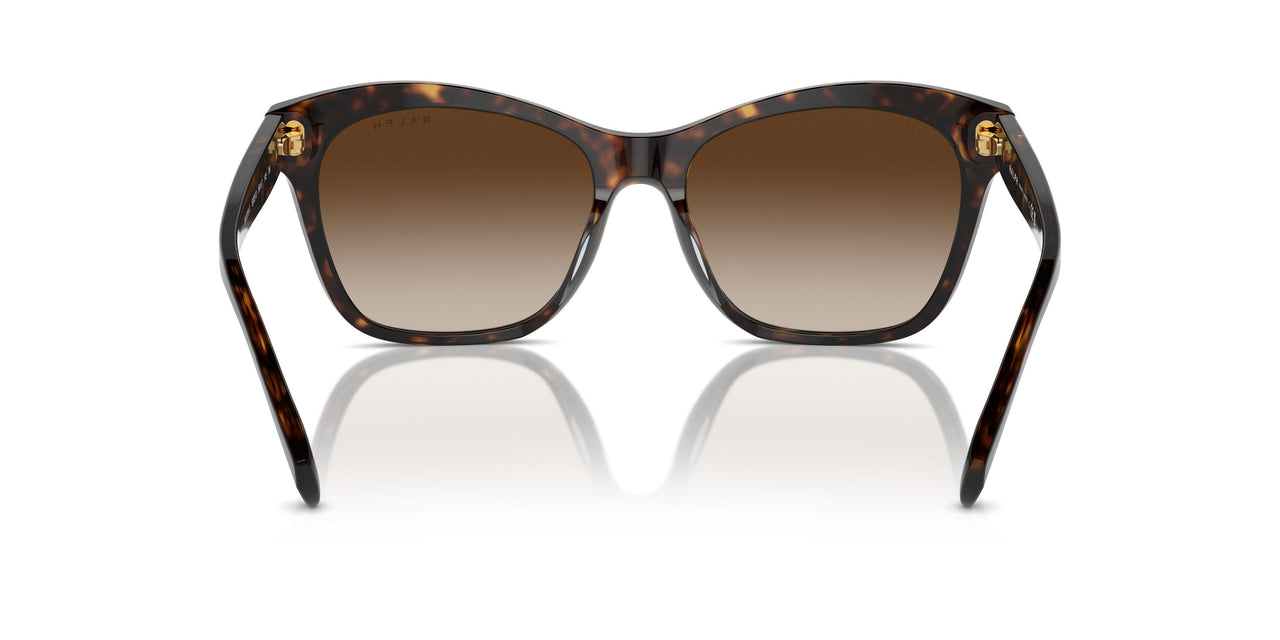 500313 - Brown - Gradient Brown