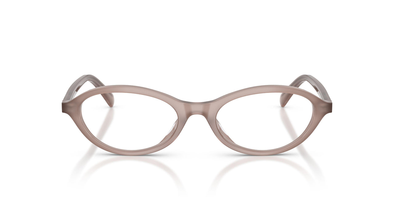 6456 - Brown