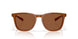 200222 - Brown - Copper