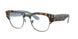 5883 - Tortoise - Clear