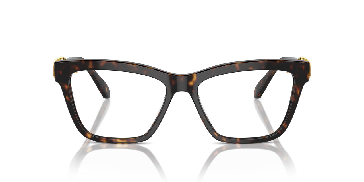 1002 - Brown