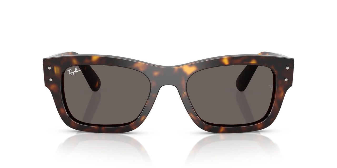 902/B1 - Tortoise - Dark Grey