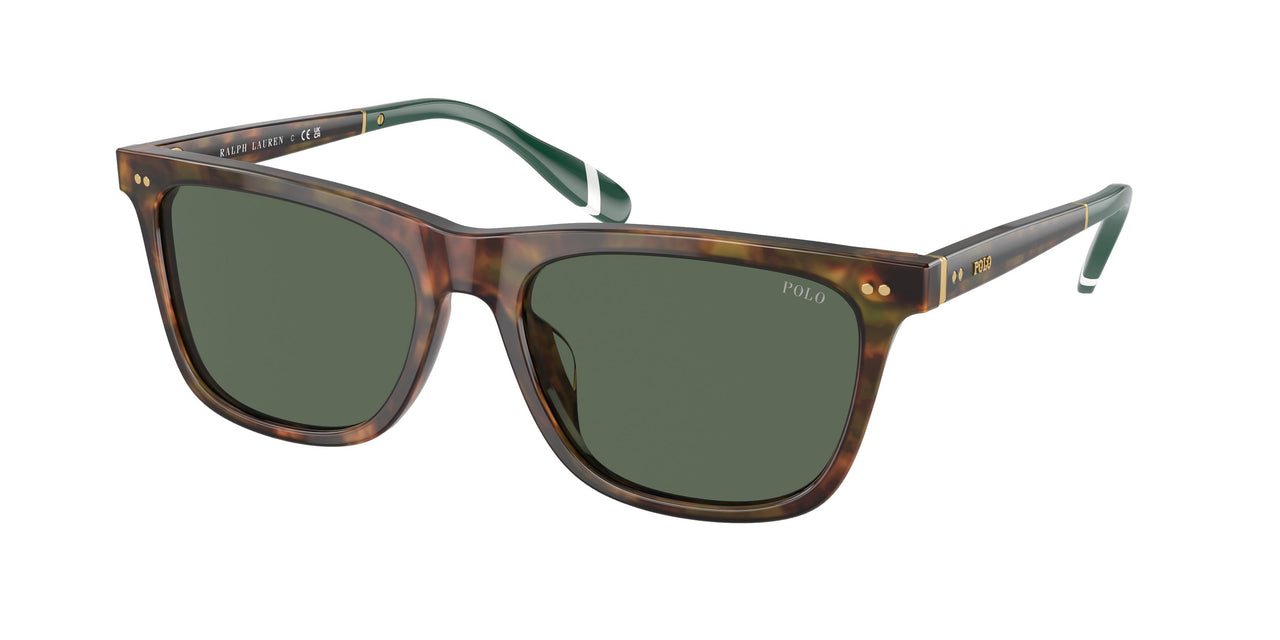 501771 - Tortoise - Bottle Green