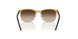 297/13 - Brown - Gradient Brown