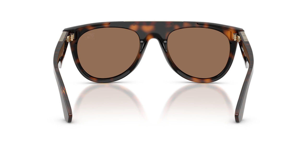 300273 - Brown - Dark Brown