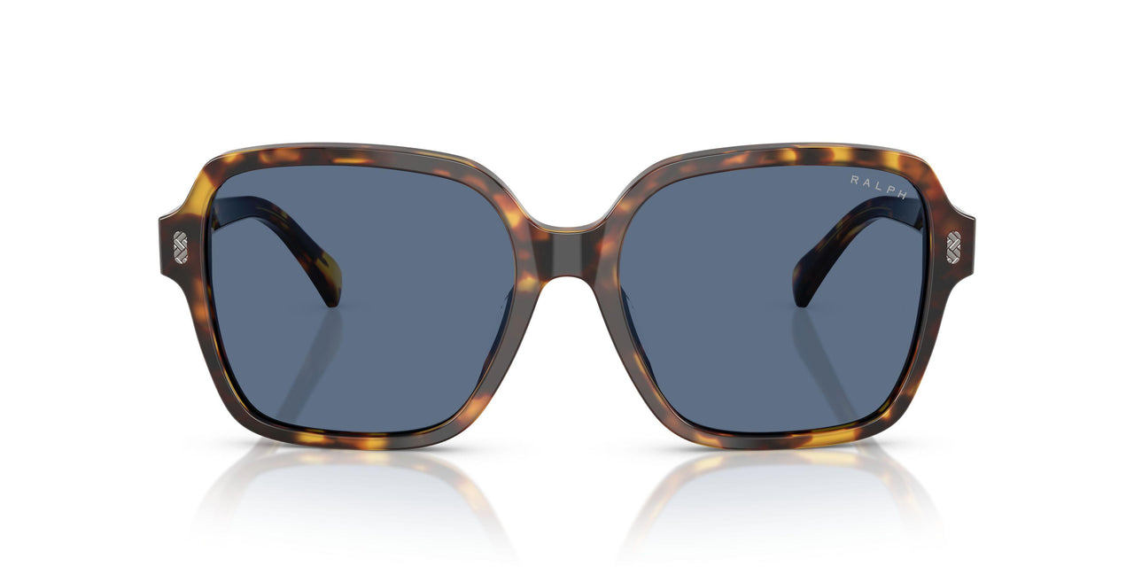 513480 - Tortoise - Dark Blue