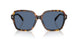 513480 - Tortoise - Dark Blue