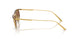 533273 - Gold - Brown