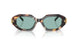 207282 - Tortoise - Petrol Green