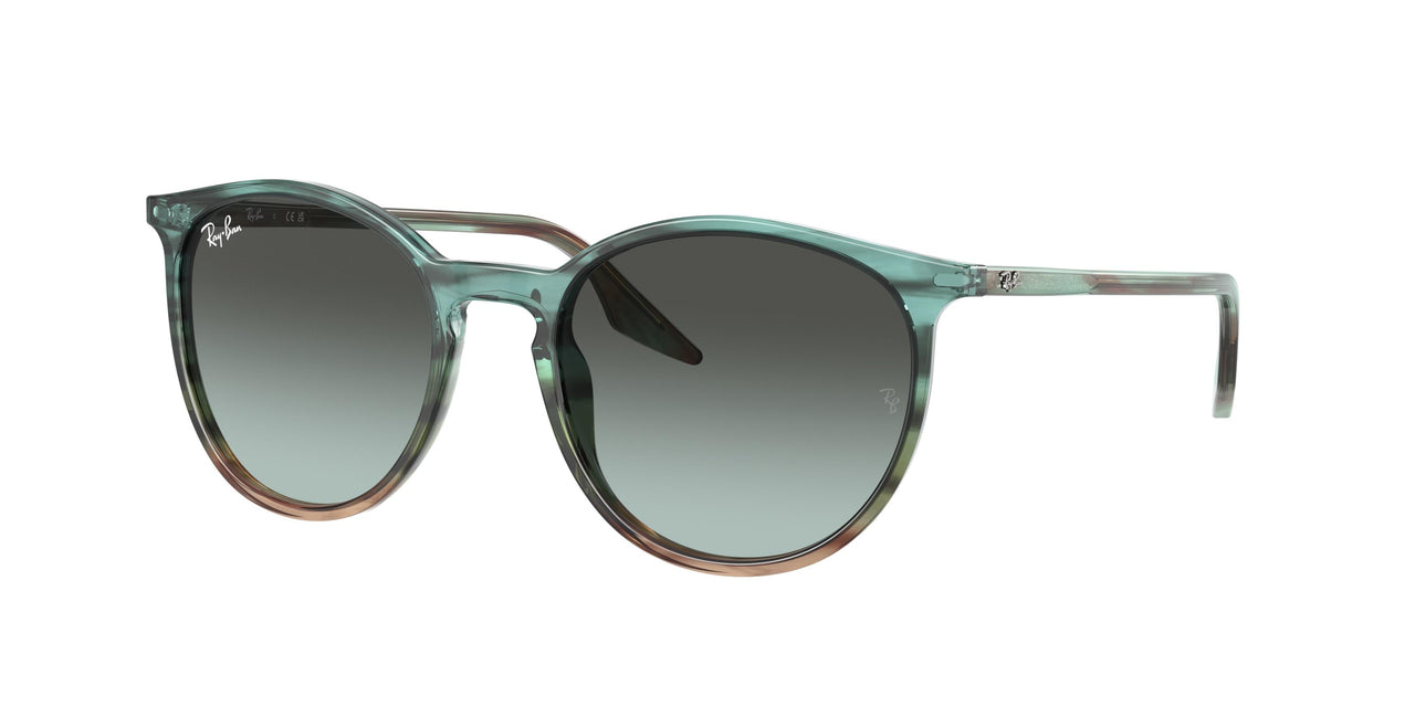 Ray-Ban 2204F Sunglasses