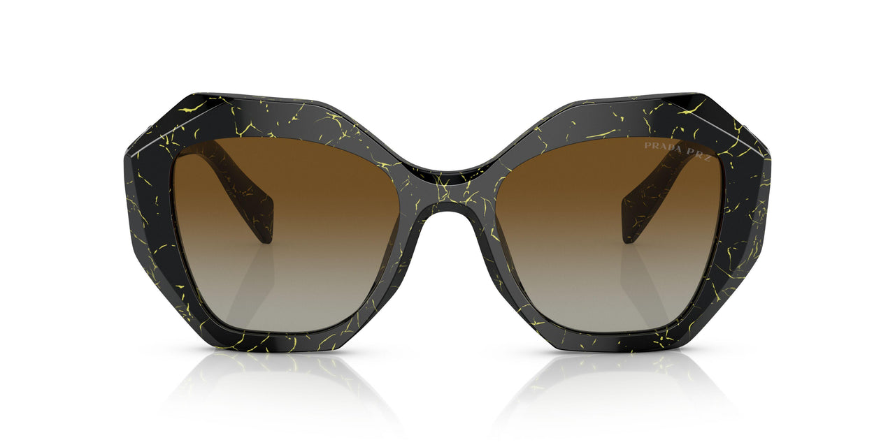 19D6E1 - Black - Polar Brown Gradient