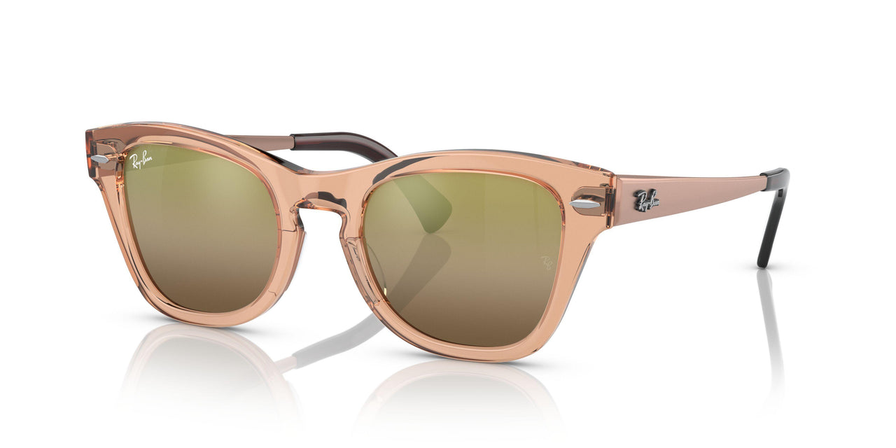 6449G7 - Light Brown - Brown Vintage
