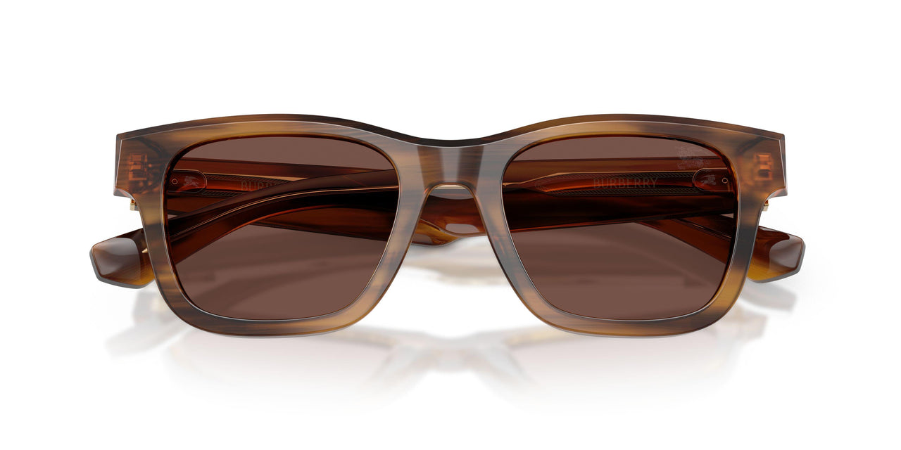425373 - Tortoise - Black Chocolate