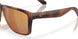 912606 - Tortoise - Gold Mirror