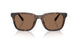 512073 - Tortoise - Brown Solid