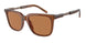 604973 - Brown - Brown