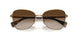 900413 - Gold - Gradient Brown