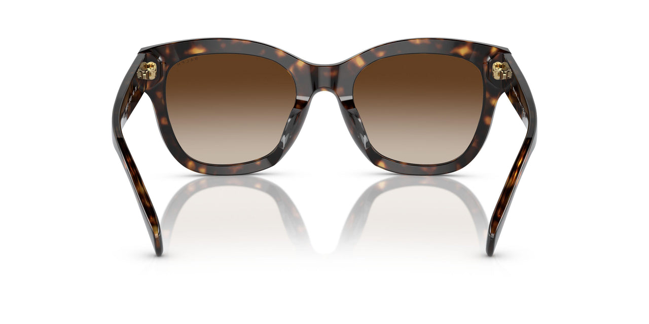 500313 - Brown - Gradient Brown