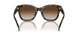 500313 - Brown - Gradient Brown