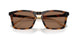 512013 - Tortoise - Brown Solid