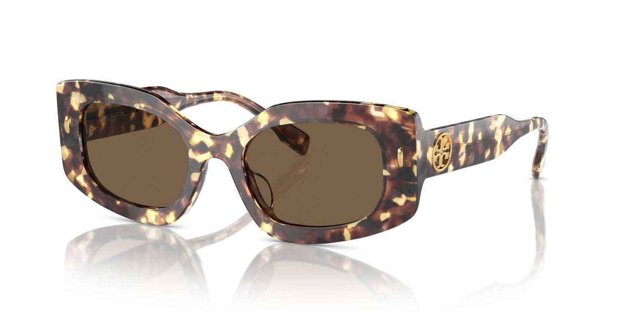 199573 - Tortoise - Dark Brown
