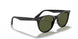 901/58 - Black - Polar Green