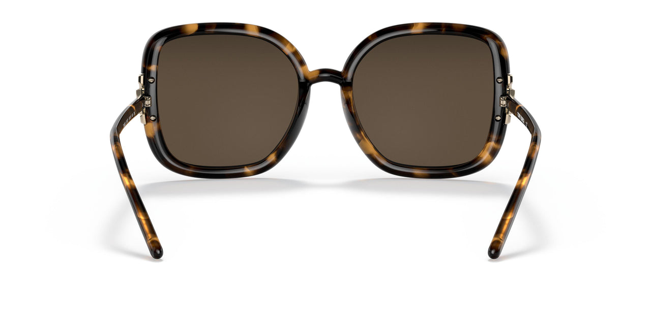 151973 - Havana - Solid Brown