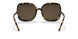 151973 - Havana - Solid Brown