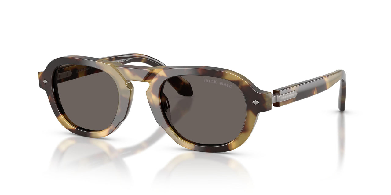6301B1 - Tortoise - Dark Grey