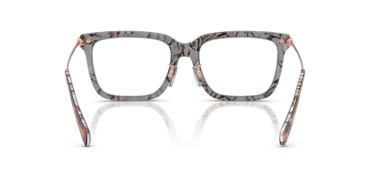 4017 - Tortoise