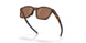 950703 - Brown - Prizm Tungsten
