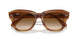 140351 - Tortoise - Clear & Brown