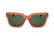 C4 - BROWN