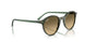 14210A - Multicolor - Brown